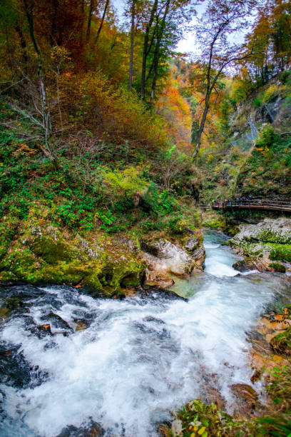 istock Autumn landscape in the wild river gorge 1197712136