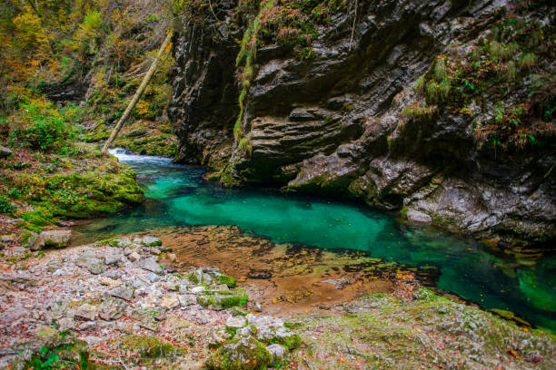 istock Autumn landscape in the wild river gorge 1197713013
