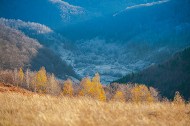 Alps around Feldkirch