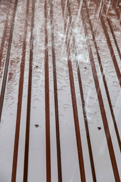 istock Metal roof in the rain 1197716220
