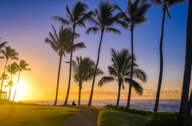 istock Sunrise on Kauai, Hawaii 1197720773