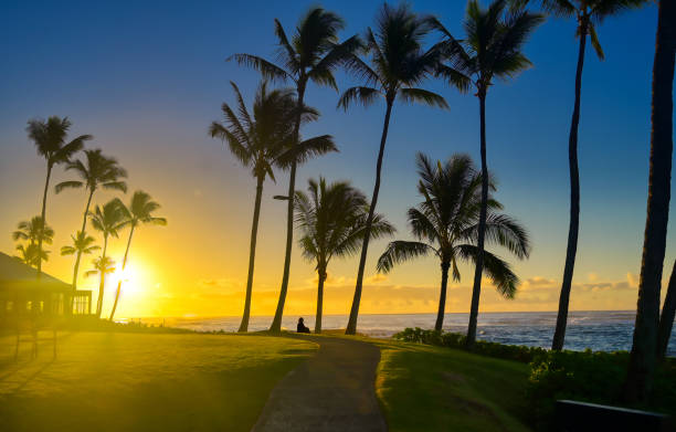 istock Sunrise on Kauai, Hawaii 1197721374