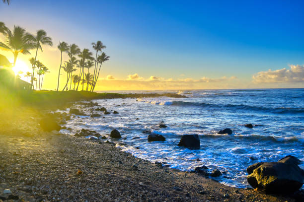 istock Sunrise over the beach in Kauai, Hawaii 1197721375