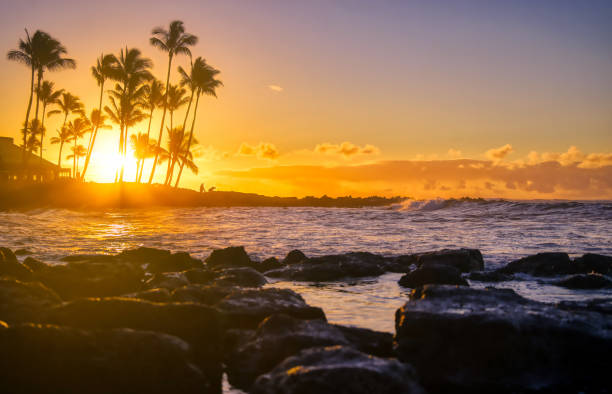 istock Sunrise over the beach in Kauai, Hawaii 1197723018