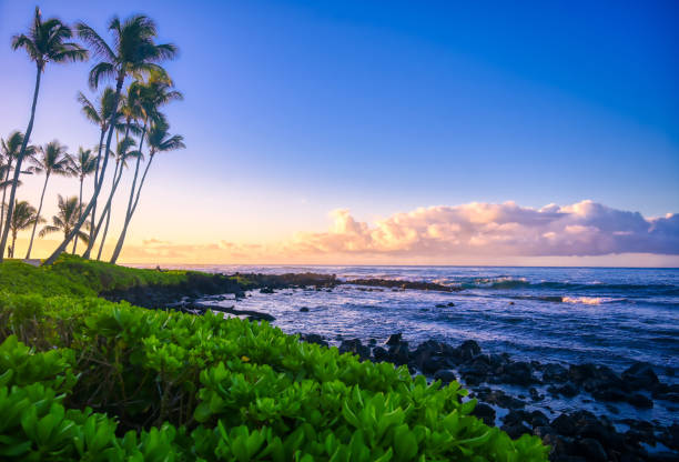 istock Sunrise over the beach in Kauai, Hawaii 1197723068