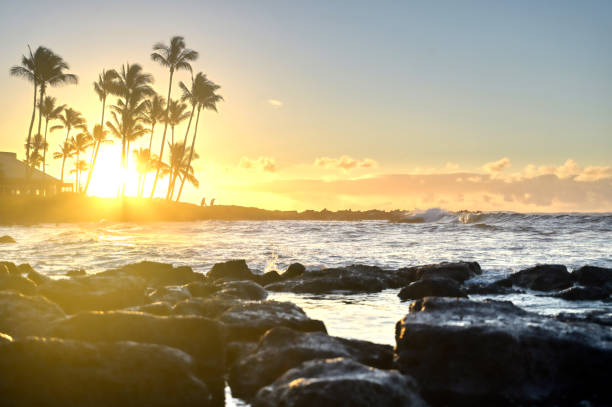 istock Sunrise over the beach in Kauai, Hawaii 1197723078