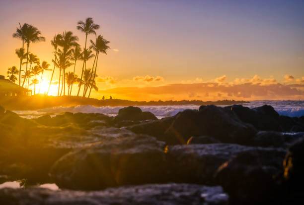 istock Sunrise over the beach in Kauai, Hawaii 1197724642