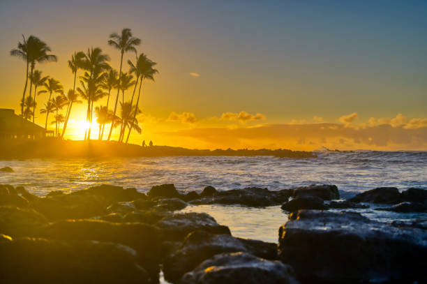 istock Sunrise over the beach in Kauai, Hawaii 1197724645