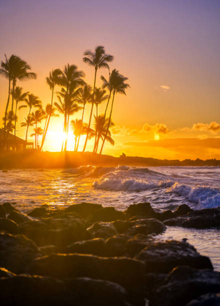 istock Sunrise over the beach in Kauai, Hawaii 1197724700