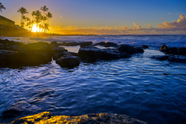 istock Sunrise over the beach in Kauai, Hawaii 1197724844
