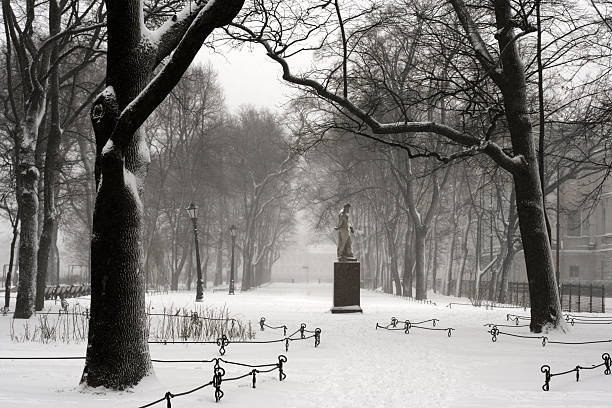 istock Snowfall In St.-Petersburg 119773460