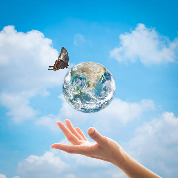 istock World environment day, ecology and ozone layer protection concept with woman's hand supporting earth planet under sun light flare with beautiful butterfly: Elements of this image furnished by NASA 1197734731