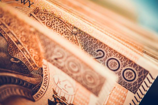 istock Polish Zloty Banknotes 1197734848