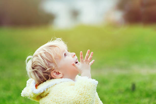 istock little boy is pointing upwards in the park 1197736602