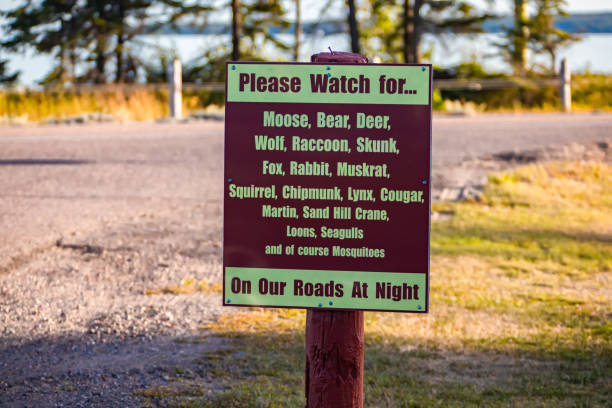 warning sign animals crossing the roads