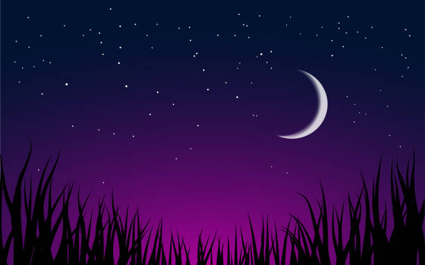 Beautiful night sky Night sky background with grass silhouette crescent moon stock illustrations