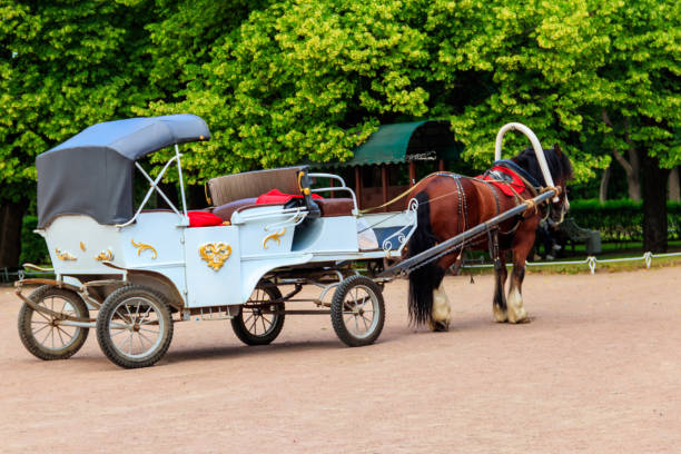 istock Empty horse-drawn carriage in a green park 1197744286