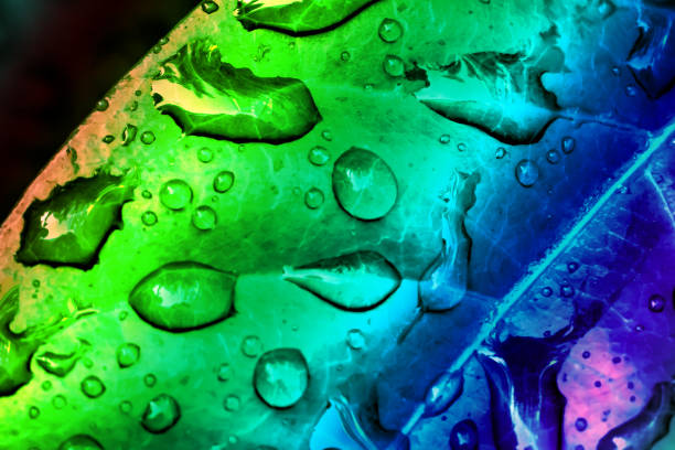 beautiful rainbow color gradient of water drop on leaf surface background, pure water splash droplet close up view above tropical herbal plant for environmental healing concept with copy space