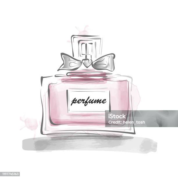 kontakt Tid Manager Perfume Bottle With Bow Vector Illustration Female Template Stock  Illustration - Download Image Now - iStock