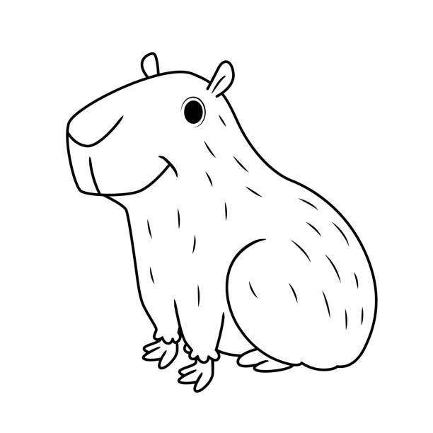 Vector Illustration Of Capybara Isolated On White Background For Kids  Coloring Book Stock Illustration - Download Image Now - iStock