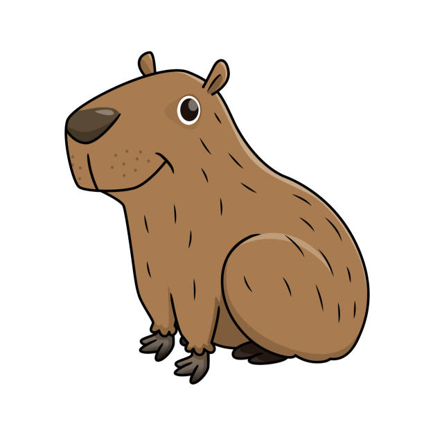 vektor-illustration von capybara isoliert auf weißem hintergrund. - wasserschwein stock-grafiken, -clipart, -cartoons und -symbole