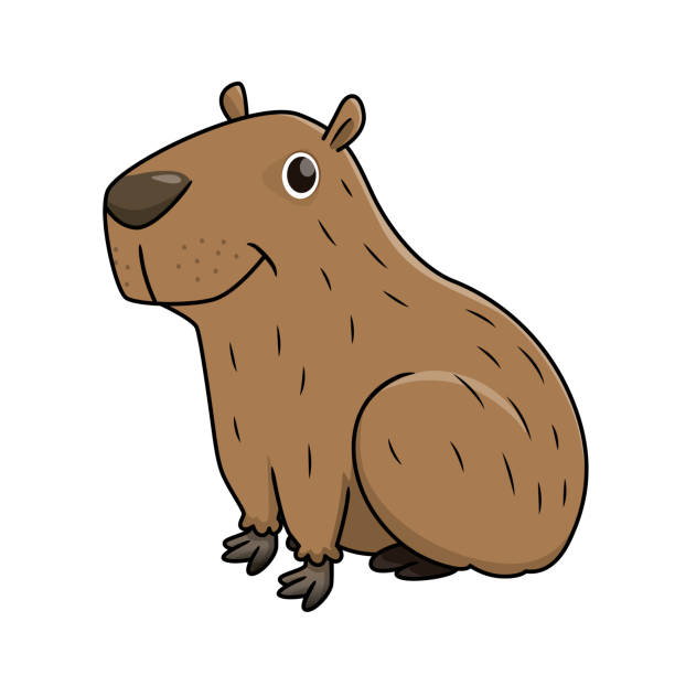 ilustraciones, imágenes clip art, dibujos animados e iconos de stock de ilustración vectorial de capibara aislado sobre fondo blanco. - wilderness area illustrations