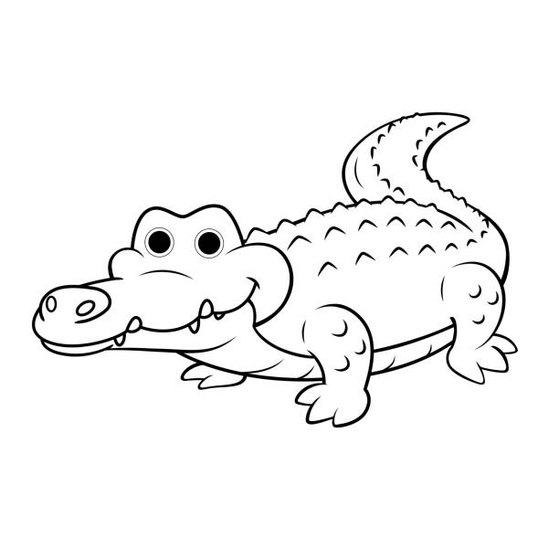 Vector Illustration Of A Green Crocodile Smiley Face Isolated On White  Background For Kids Coloring Book Stock Illustration - Download Image Now -  iStock