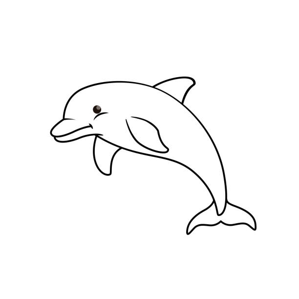 ilustrações de stock, clip art, desenhos animados e ícones de vector illustration of dolphin isolated on white background. for kids coloring book. - dolphin aquarium bottle nosed dolphin smiling