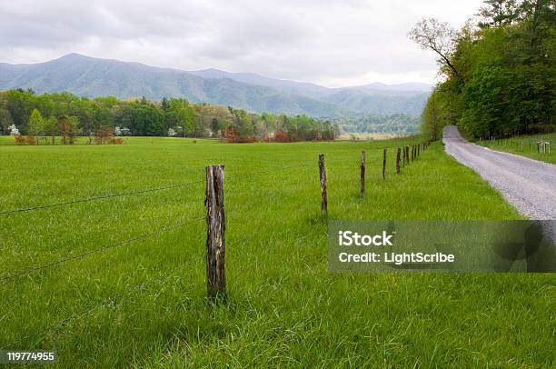 カントリー Road - テネシー州のストックフォトや画像を多数ご用意 - テネシー州, 農園, ノースカロライナ州