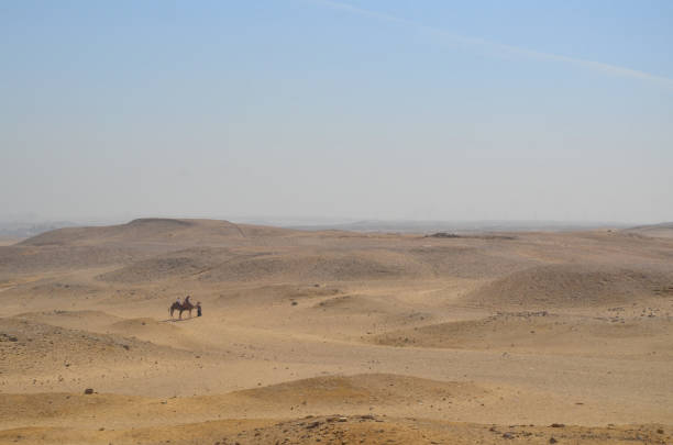 Riding camel is one of the common way to visit Giza by tourist. The Great Pyramid of Giza is the oldest and largest of the three pyramids in the Giza pyramid.