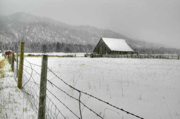 istock Barbed Wire Fence supported by wooden post 1197751424