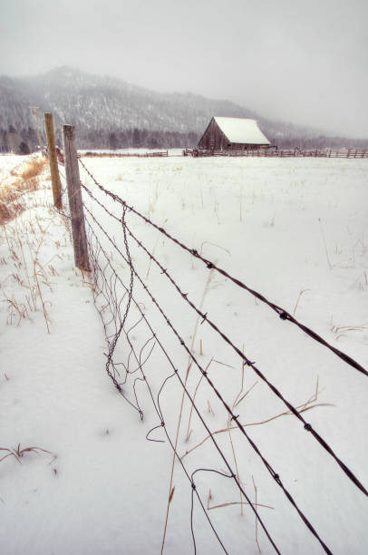 istock Barbed Wire Fence supported by wooden post 1197751433