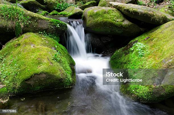 De Eram - Fotografias de stock e mais imagens de Rio - Rio, Tennessee, Ao Ar Livre