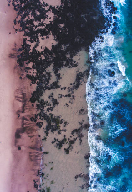 istock Aerial beach shot 1197752332