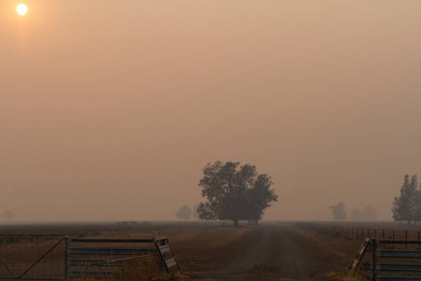istock Smoke haze from bushfires in Australia 2020 1197755944
