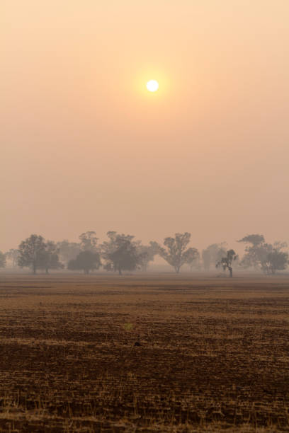 istock Smoke haze from bushfires in Australia 2020 1197756004