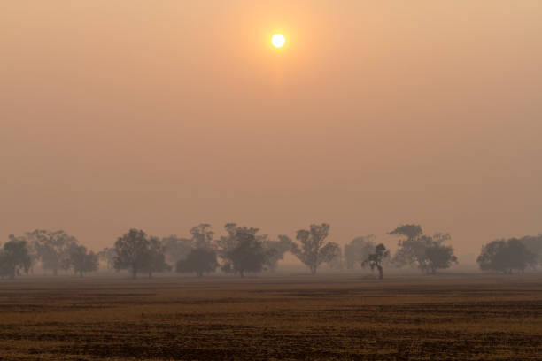 istock Smoke haze from bushfires in Australia 2020 1197756028
