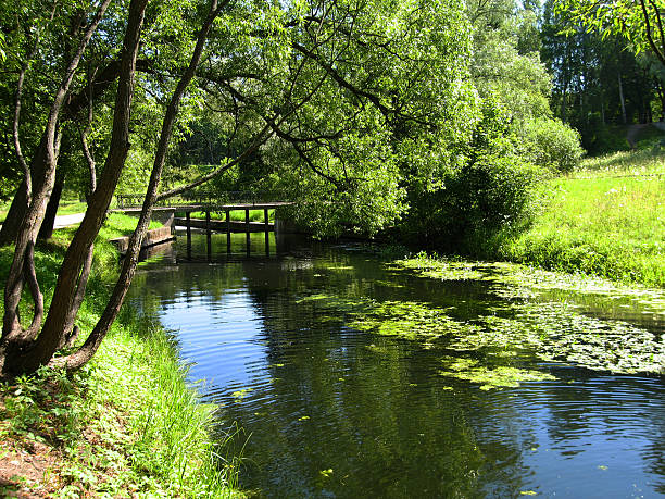 istock Park in Pavlovsk, Russia 119775616