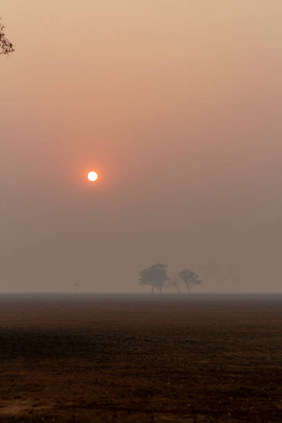 istock Smoke haze and sheep grazing in drought affected Australia 1197757086