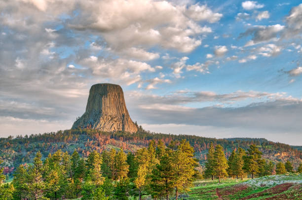 Devil's Tower National Monument in Wyoming Devil's Tower National Monument in Wyoming Under the Early Morning Cloudy Sky with the forest in the foreground butte rocky outcrop photos stock pictures, royalty-free photos & images