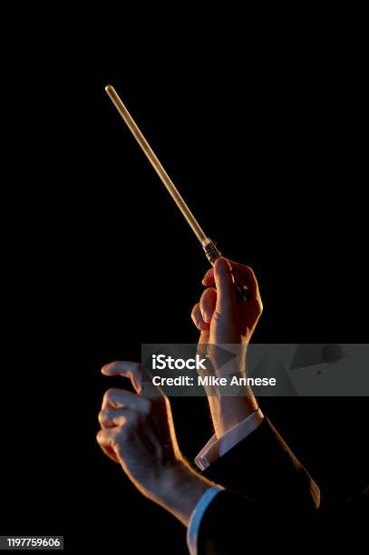Symphony Orchestra Stock Photo - Download Image Now - Musical Conductor, Music, Orchestra