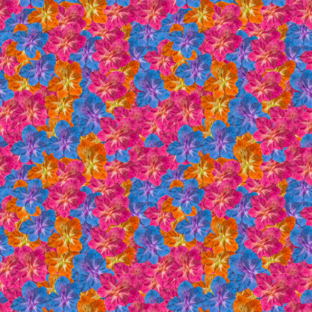 Gladiolus. Illustration, texture of flowers. Seamless pattern for continuous replicate. Floral background, photo collage for production of textile, cotton fabric. For use in wallpaper, covers