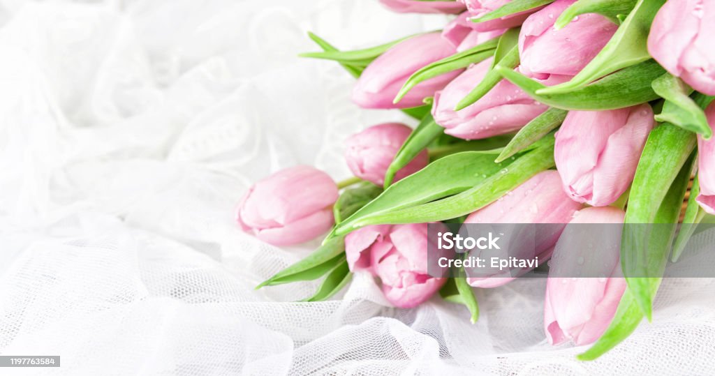 Flores De Tulipanes Rosados Foto de stock y más banco de imágenes de Agua -  Agua, Buqué, Celebración - Ocasión especial - iStock