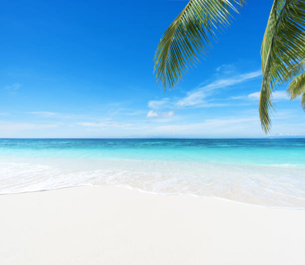 istock Exotic tropical beach scene for background or wallpaper 1197764473