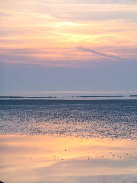 istock Sunset at the sea 1197764680