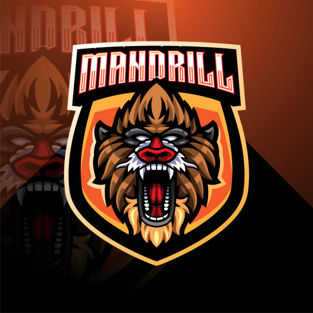 Chuck esport mascot logo design Illustration of Mandril esport mascot logo design mandrill stock illustrations