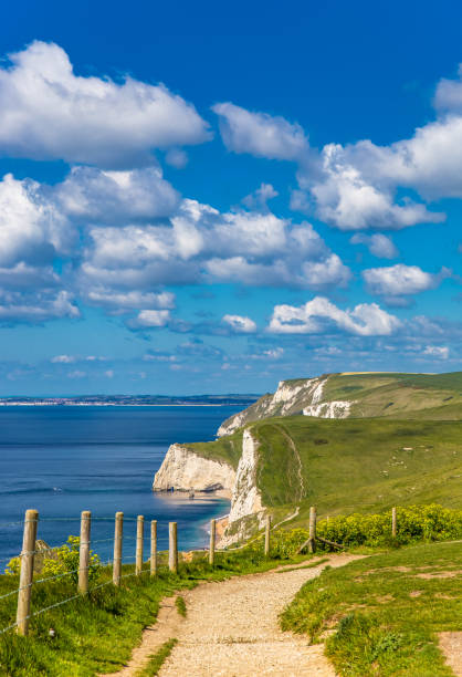 istock Jurassic coastline footpath Dorset England 1197772742