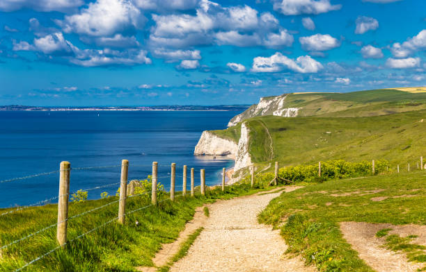 쥬라기 해안선 보도 도싯 잉글랜드 - coastline dorset footpath durdle door 뉴스 사진 이미지