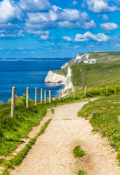 Jurassic coastline footpath Dorset England Sunny summer day in Dorset famous Jurassic coastline footpath English landscape Europe durdle door stock pictures, royalty-free photos & images