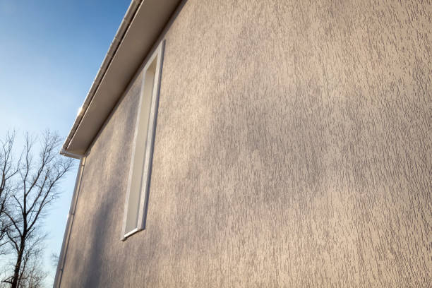 istock The texture of the wall 1197775321